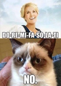sound of music grumpy cat
